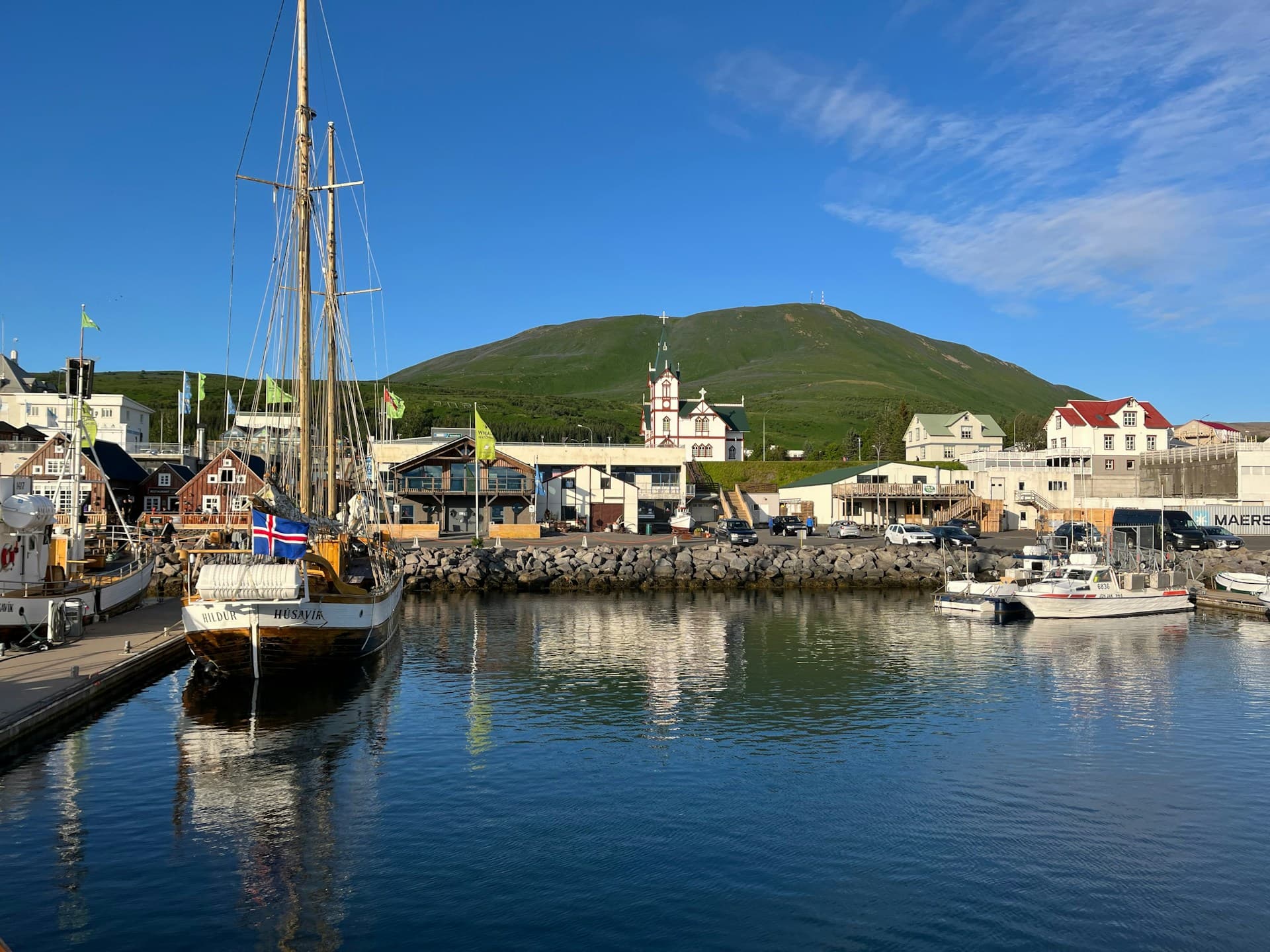 Best Whale Watching Tours in Iceland