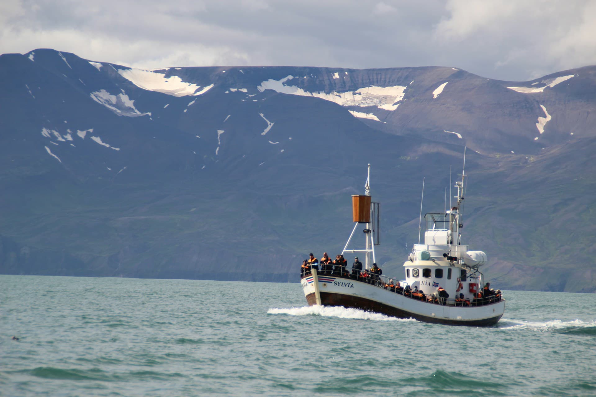 Best Time for Whale Watching in Iceland